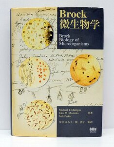 【中古】 Brock ブロック 微生物学 ／ Michael T.Madigan John M.Martinko Jack Parker 共著 / 室伏 きみ子 関 啓子 監訳 ..