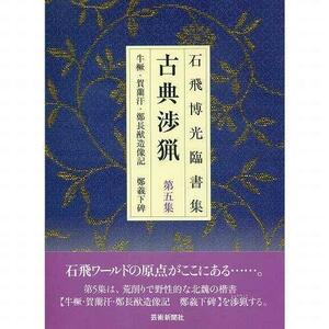 書道書籍 芸術新聞社 石飛博光臨書集 古典渉猟 第５集 A４変型判並製64頁 (800620) テキスト 参考書 手本 法帖