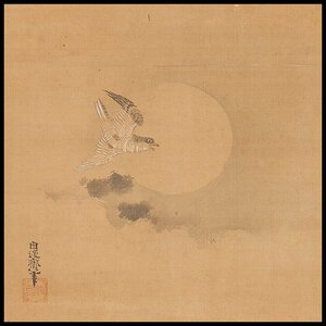 【五】狩野尚信 『月に時鳥』 模写 絹本 淡彩 掛軸 箱付