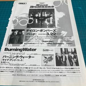 E1　切り抜き　SHED　SEVEN　シェッドセウ゛ン　　ナイロンボンバーズ　NILONBOMBERS