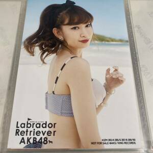 AKB48 小嶋陽菜 ラブラドールレトリバー 通常盤 生写真 こじはる ビキニ 水着