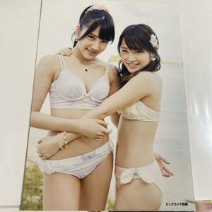 AKB48 ラブラドールレトリバー ビックカメラ 店舗特典 生写真 入山杏奈 川栄李奈 水着 ビキニ ラブラドール