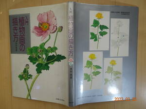 入門 植物画の描き方 西村俊雄 定価３０００円