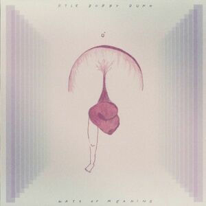 試聴 Kyle Bobby Dunn - Ways Of Meaning [LP] Desire Path Recordings US 2011 Ambient/Drone