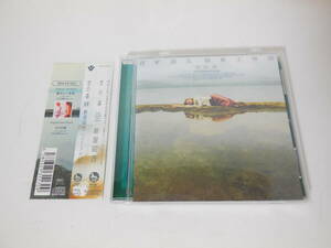 空の森 新居昭乃 ベストアルバムCD 15曲収録 帯付き