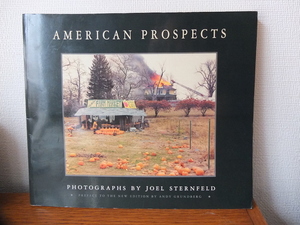 JOEL STERNFELD 「AMERICAN PROSPECTS 」1994年 Chronicle Books 英語版 ペーパーバック ジョエル・スタンフェルド写真集 