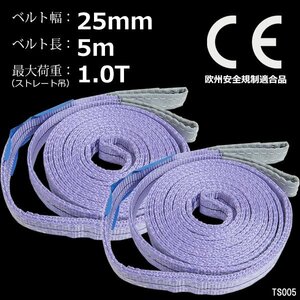 ナイロンスリングベルト 幅25mm×5m【2本】紫 耐荷1000kg CE規格品 荷吊りベルト ベルトスリング/4