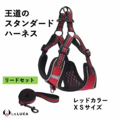 犬 c043red-XS ハーネス リード セット スタンダード 抜けにくい