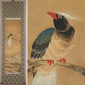【模写】◆山本梅逸◆花鳥◆江戸期◆日本画◆紙本◆掛軸◆t688