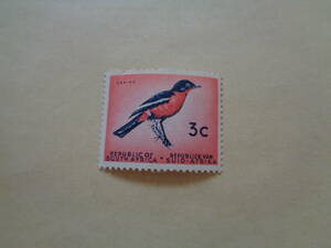 南アフリカ切手　1961年　鳥切手　 Crimson-breasted Shrike (Laniarius atrococcineus)　　3c