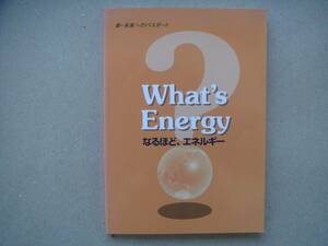 ・TEPCO (東京電力)　環境行動レポート　What`s Energy　なるほど、エネルギー　　 タカ12