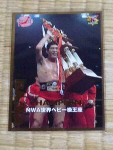 全日本プロレス　ジャイアント馬場　NWA世界ヘビー級王座　レア