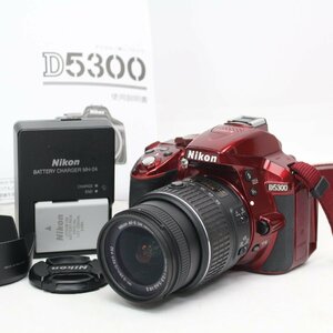 091)【1円スタート♪/美品】Nikon ニコン デジタル一眼レフカメラ D5300/AF-S DX NIKKOR 18-55mm 1:3.5-5.6G VR Ⅱ