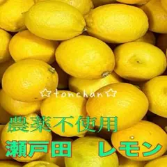国産　瀬戸田レモン　　g