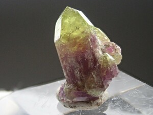 【完全結晶】バイカラー　カナダ産　宝石質　ベスビアナイト　ベスブ石　原石　標本