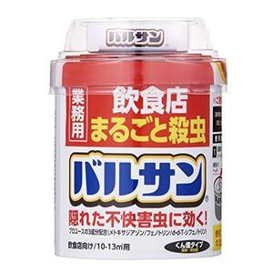 レック　バルサン　業務用　飲食店まるごと殺虫　20g　複数可