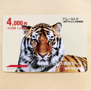 【使用済】 市バス専用カード 神戸市交通局 アムールトラ（神戸市立王子動物園）