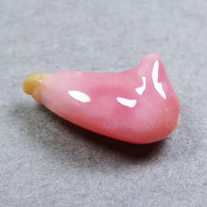 コンクパール(conch pearl) ルース(0.78ct)