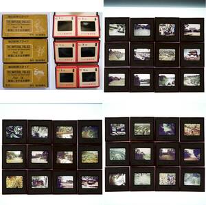 スライド フィルム 皇居 36枚 天皇 皇族 皇居周辺 毎日教育スライド 毎日新聞 写真 ネガフィルム 昭和 資料