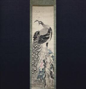 【真作】【芸】堀栖龍（孔雀）日本画　日本美術　中国画　古美術　肉筆紙本　大幅　掛軸